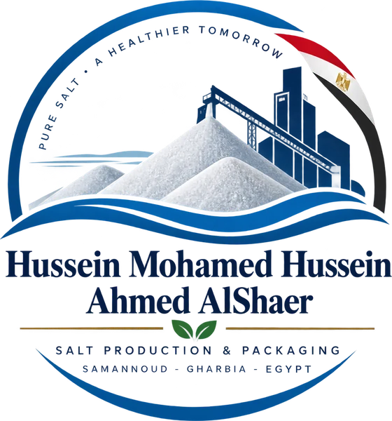 Hussein Mohamed Hussein Ahmed AlShaer